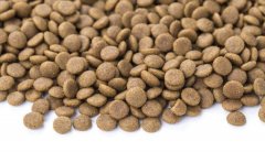 狗糧貓糧怎么儲存，華興寵物食品提示您