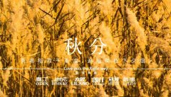 秋分丨晝夜分畫，漸入秋華