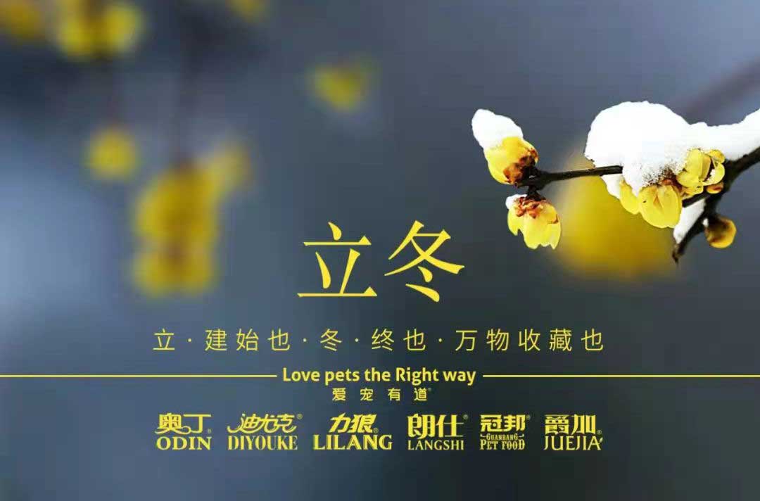 立冬丨冬寒初始，情暖愈濃