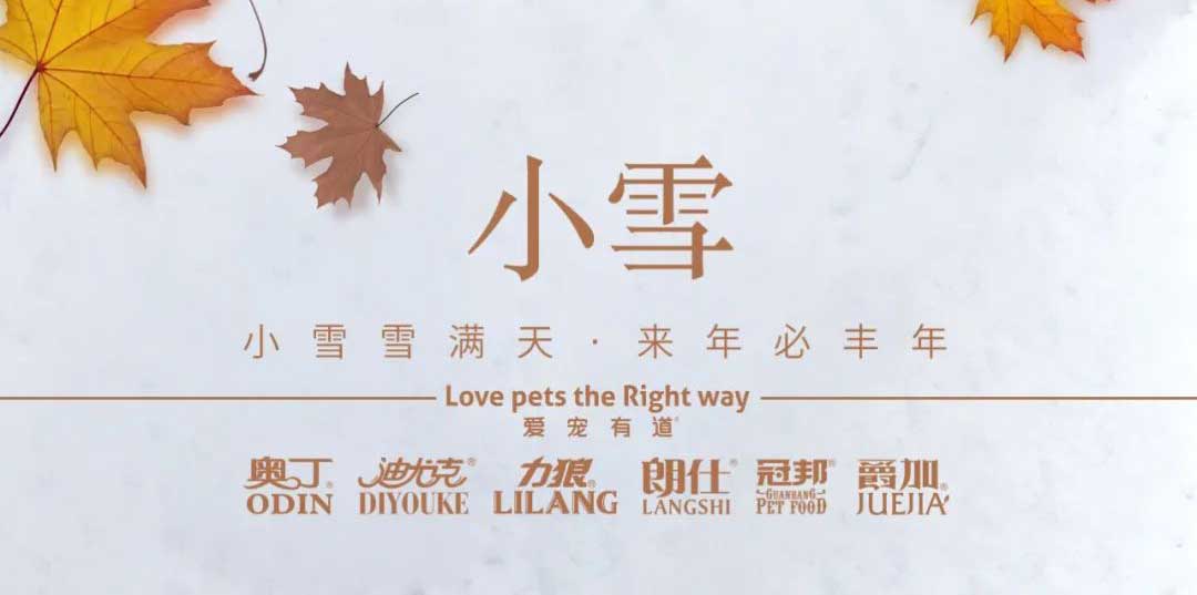 小雪丨天地初寒，歲月安暖